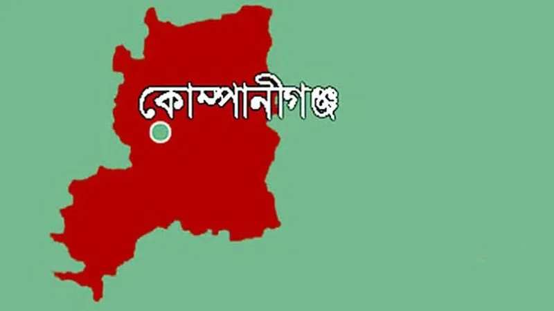 কোম্পানীগঞ্জে রাতের আঁধারে তুলে নিয়ে কিশোরীর সর্বনাশ!