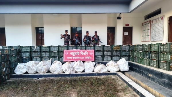 সিলেট সীমান্তে সাড়ে ৭২ লাখ টাকার চোরাচালানের মালামাল জব্দ