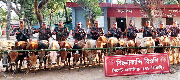 সিলেট ও সুনামগঞ্জ সীমান্তে কোটি টাকার ভারতীয় পণ্য জব্দ