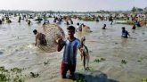 বিশ্বনাথে গোয়াহরি বিলে ঐহিত্যবাহী ‘পলো বাওয়া’ উৎসব অনুষ্ঠিত