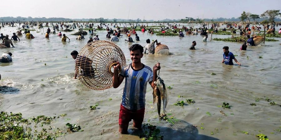 বিশ্বনাথে গোয়াহরি বিলে ঐহিত্যবাহী ‘পলো বাওয়া’ উৎসব অনুষ্ঠিত
