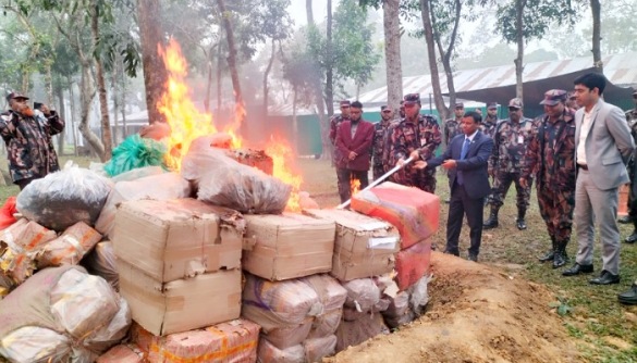 শ্রীমঙ্গলে দেড় কোটি টাকার মাদকদ্রব্য বিনষ্ট করলো বিজিবি