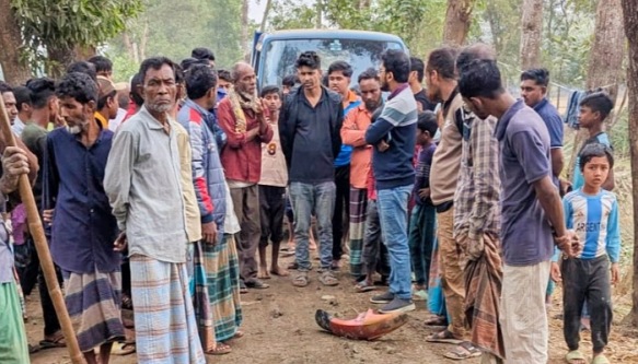 কুলাউড়ায় ইটভাটাকে ৫০ হাজার টাকা জরিমানা