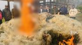 টাঙ্গুয়ার হাওরে ১০ লাখ টাকার জাল পুড়িয়ে ধ্বংস