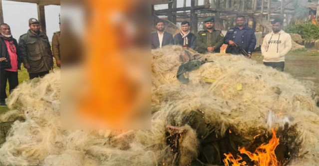 টাঙ্গুয়ার হাওরে ১০ লাখ টাকার জাল পুড়িয়ে ধ্বংস
