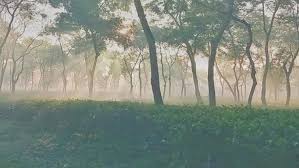 ৮ জেলায় শৈত্যপ্রবাহ, রয়েছে বৃষ্টির আভাস