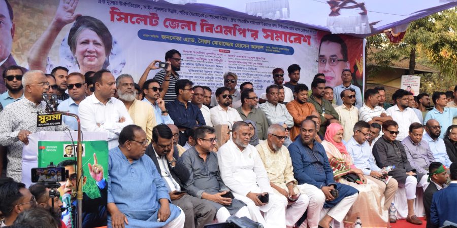 প্রত্যাশাকে হতাশায় পরিণত করা যাবে না : আলাল