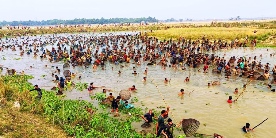 জৈন্তাপুরে ঐতিহ্যবাহী পলো বাওয়া উৎসব পালন