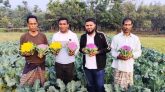 দক্ষিণ সুরমায় সৈয়দুর রহমানের রঙিন ফুলকপি চাষ, নজর কাড়ছে সবার