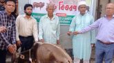 কমলগঞ্জে ক্ষুদ্র নৃ-গোষ্ঠীর মাঝে ষাড় গরু বিতরণ