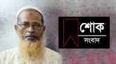 স্বনামধন্য ঠিকাদার হাবিবুর রহমান বুলু আর নেই