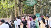 লাউয়াছড়ায় পর্যটকদের ঢল, তিনদিনে ৫ লক্ষ টাকা রাজস্ব আয়