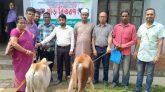কমলগঞ্জে ক্ষুদ্র নৃ-গোষ্ঠীর মাঝে ষাড় গরু বিতরণ