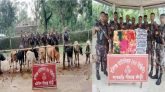 হবিগঞ্জে সীমান্তে গরুসহ ৪৪ লাখ টাকার ভারতীয় চোরাচালান জব্দ