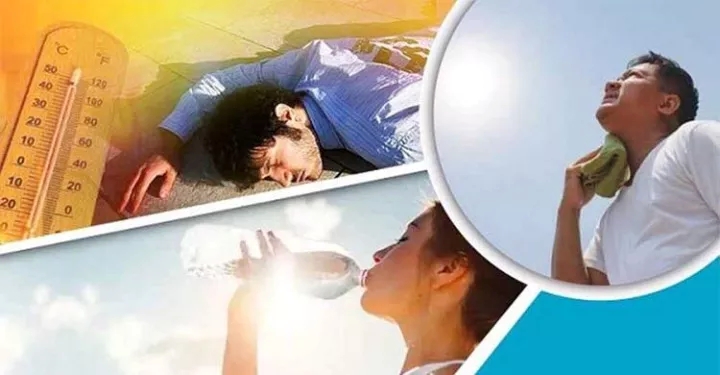 হিট স্ট্রোকের ঝুঁকি এড়াতে যেসব ফল খেতে পারেন