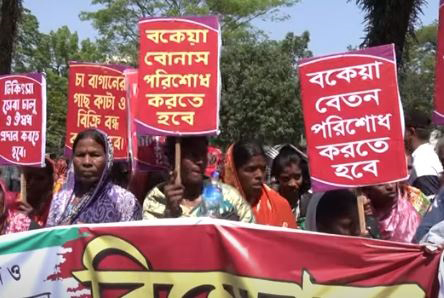 রোববার সিলেট-বিমানবন্দর সড়ক অবরোধের ঘোষণা চা শ্রমিকদের