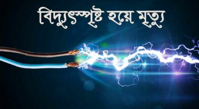 ভাতিজাকে বাঁচাতে গিয়ে বিদ্যুৎস্পর্শে ৩ জনের মৃত্যু