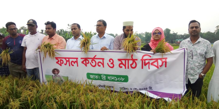 কমলগঞ্জে ব্রি-ধান ১০৮ চাষে সফল কৃষক মিঠ