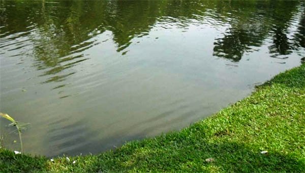 কুলাউড়ায় পুকুরের পানিতে ডুবে শিশুর মৃত্যু