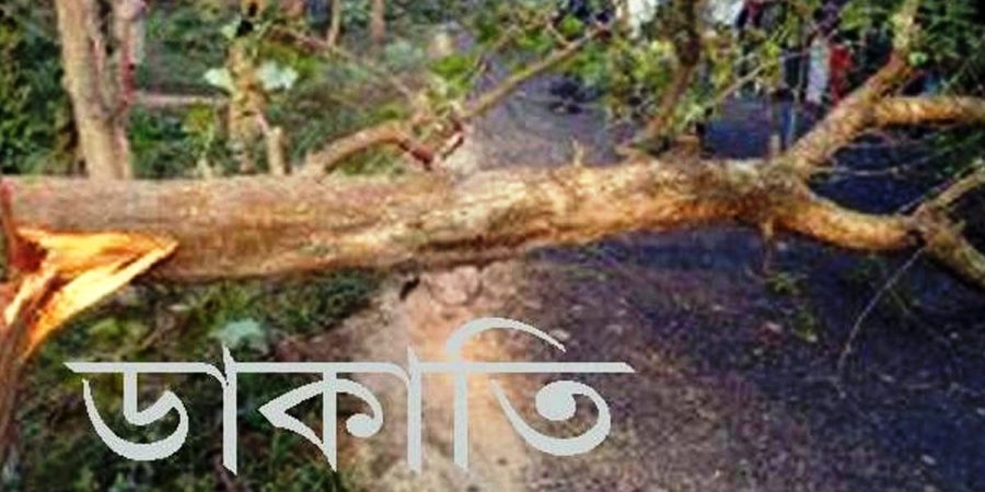 সড়কে গাছ ফেলে ৩টি গাড়িতে ডাকাতি, মোবাইল ও টাকা লুট