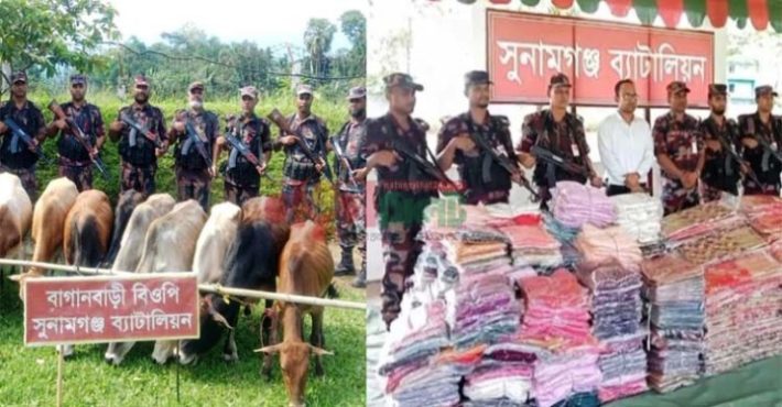 সুনামগঞ্জে কোটি টাকার ভারতীয় শাড়ি জব্দ, গরু আটক