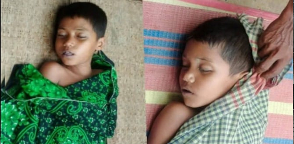 হবিগঞ্জে পুকুরের পানিতে পড়ে ভাই-বোনের মৃত্যু