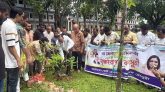 ডা. জুবাইদার জন্মবার্ষিকীতে গোলাপগঞ্জে বৃক্ষরোপণ কর্মসূচি