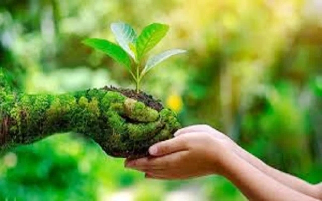 বিশ্ব পরিবেশ দিবস আজ
