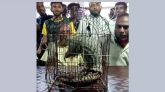 তাহিরপুর সীমান্ত থেকে বিপন্ন প্রজাতির বনরুই উদ্ধার