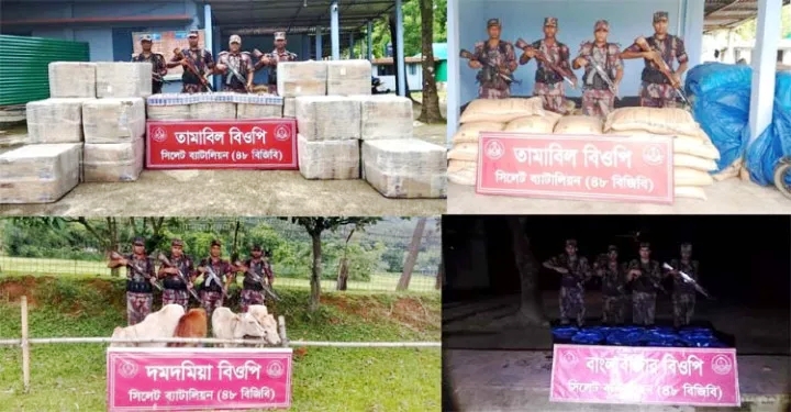 সিলেটে কোটি টাকার ভারতীয় চোরাই পণ্য জব্দ