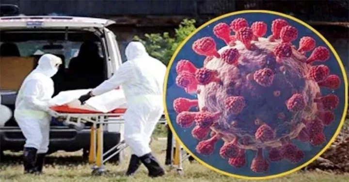 করোনায় একদিনে ৩ জনের মৃত্যু, শনাক্ত ১৯