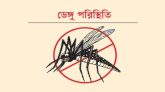 ডেঙ্গুতে আরো একজনের মৃত্যু, শনাক্ত ২৬২