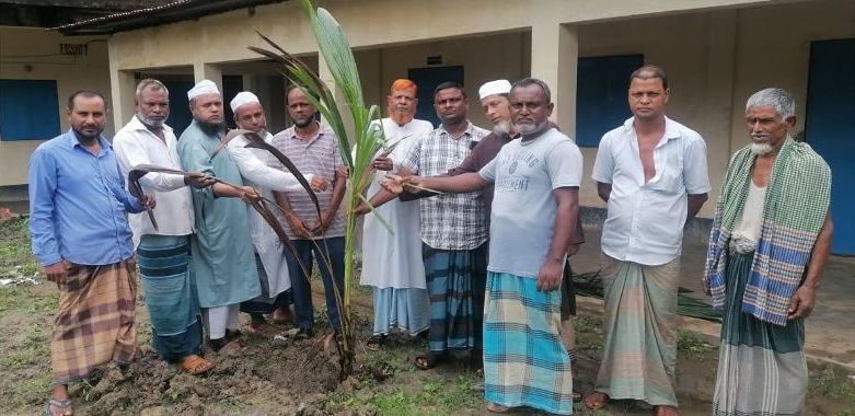 ছাতকে মাদ্রাসায় নারিকেল গাছের চারা রোপন