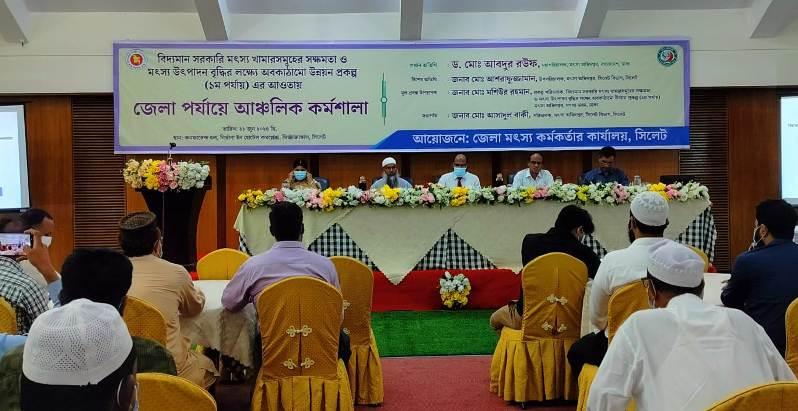 সিলেটের মৎস্য সম্পদ উন্নয়নে প্রকল্প সংখ্যা বৃদ্ধি করা হবে : মহাপরিচালক