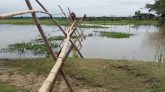 বড়কাটা গ্রামবাসীর বাঁশের সাঁকোই পারাপারের ভরসা