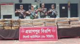 সিলেট সীমান্তে ১ কোটি ২০ লাখ টাকার ভারতীয় চোরাচালান পণ্য জব্দ