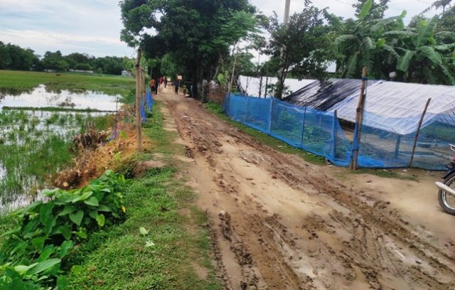 কমলগঞ্জে টমেটো গ্রাম বনগাঁও এলাকায় কাঁচা রাস্তায় সীমাহীন ভোগান্তি কৃষকদের
