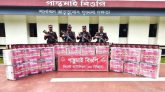 সিলেট সীমান্তে সোয়া ২ কোটি টাকার ভারতীয় পণ্য জব্দ