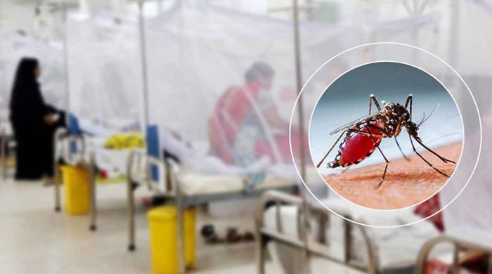 ডেঙ্গুতে একদিনে ৩ জনের মৃত্যু, হাসপাতালে ভর্তি ৪০৯