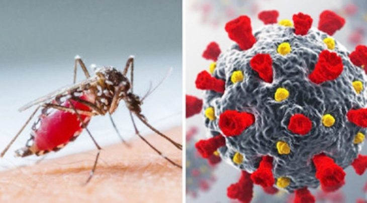 জুনে করোনায় ২২ এবং ডেঙ্গুতে ১৯ জনের মৃত্যু