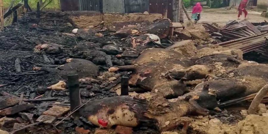 হবিগঞ্জে কয়েলের আগুনে পুড়ল ৩০ গবাদি পশু