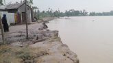 জগন্নাথপুরে কুশিয়ারায় ভাঙন, বিপর্যস্ত নদীতীরবর্তী পরিবার