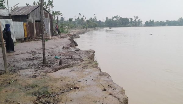 জগন্নাথপুরে কুশিয়ারায় ভাঙন, বিপর্যস্ত নদীতীরবর্তী পরিবার