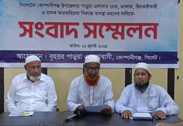 কয়েক পরিবারের অপরাধে অতিষ্ট কোম্পানীগঞ্জের পাড়ুয়াবাসী, দ্রুত ব্যবস্থা গ্রহনের দাবি