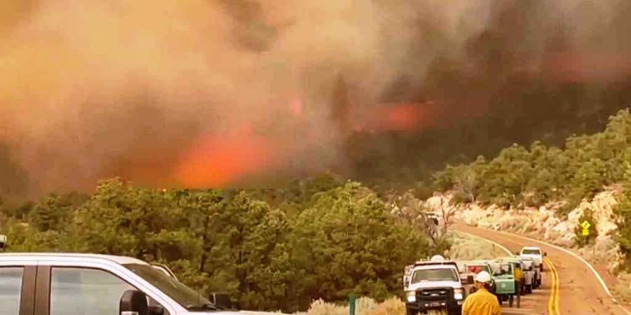 আবারও ভয়াবহ দাবানলের কবলে যুক্তরাষ্ট্র