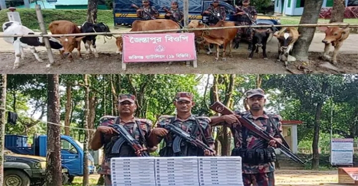 সিলেটে ৩৭ লাখ টাকার ভারতীয় গরু ও চোরাই পণ্য জব্দ