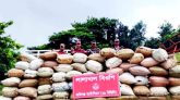 সিলেট সীমান্তে ভারতীয় গরু ও চোরাই পণ্য জব্দ