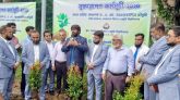 পরিবেশ রক্ষায় বৃক্ষরোপণের বিকল্প নেই : শাবি ভিসি