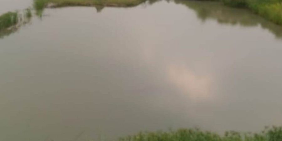 ছাতকে সিমেন্ট কারখানার মাটি সংগ্রহে ফসলি জমি ধ্বংস, পরিবেশ হুমকিতে