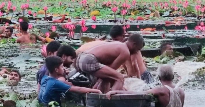 গাজীপুরের শাপলা বিলে নৌকা ডুবে দুই বন্ধুর মৃত্যু